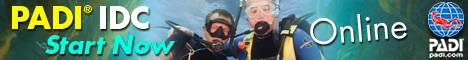 Divemaster Online