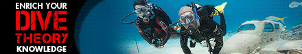 PADI eLearning