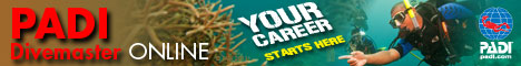 Divemaster Online