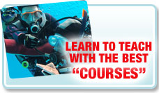 Courses